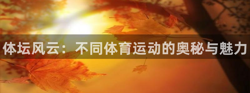 公海赌赌船官网下载平台注册要钱吗:体坛风云:不同体育运动的奥