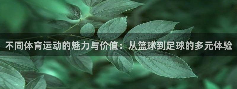 公海赌赌船官方正版app科技:不同体育运动的魅力与价值:从篮