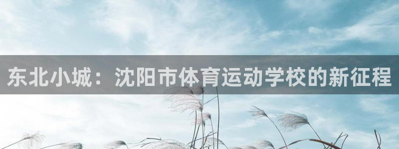 公海赌赌船官方正版app娱乐平台:东北小城:沈阳市体育运动学